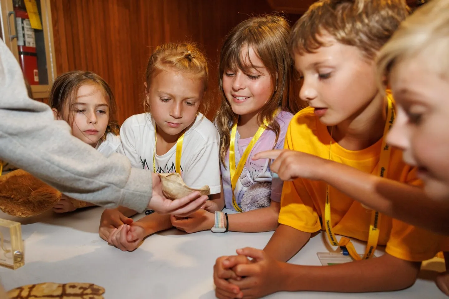 Kids at camp