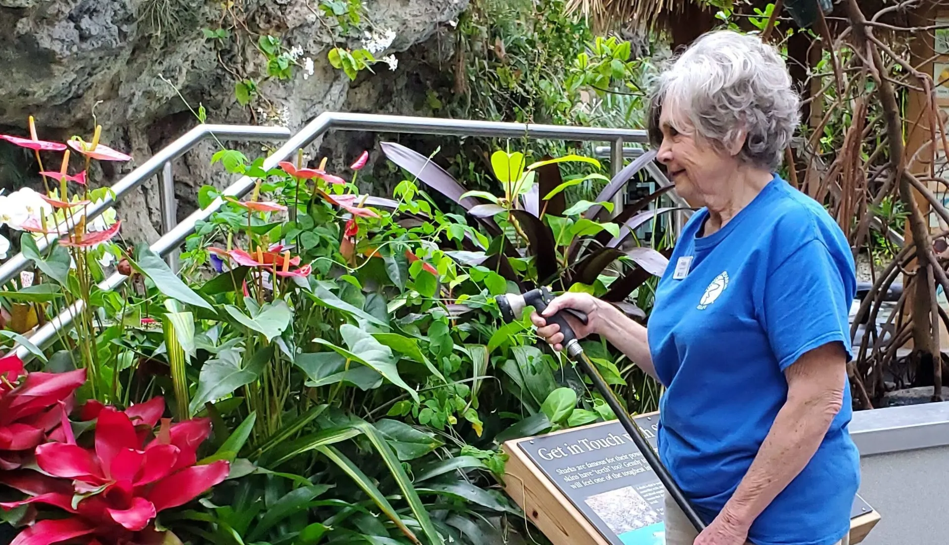 Horticulture Volunteer