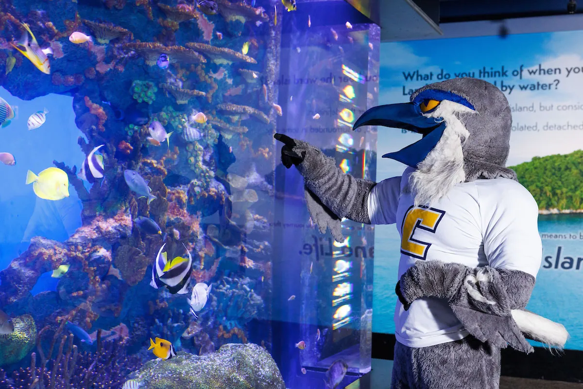 Tennessee Aquarium offers half-price admission to college students, faculty, staff in September