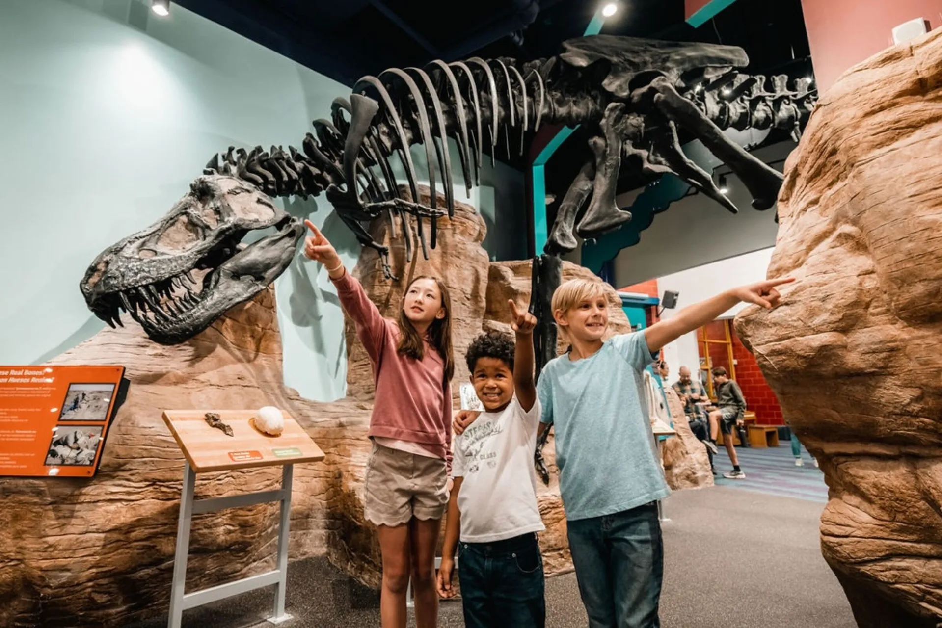 Creative Discovery Museum