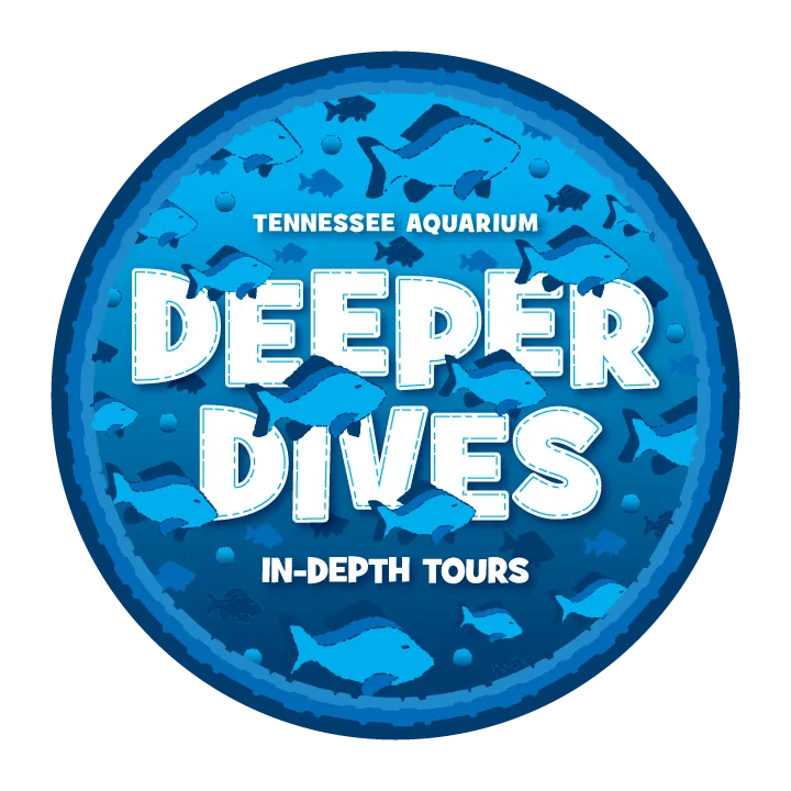 Deeper Dives Logo