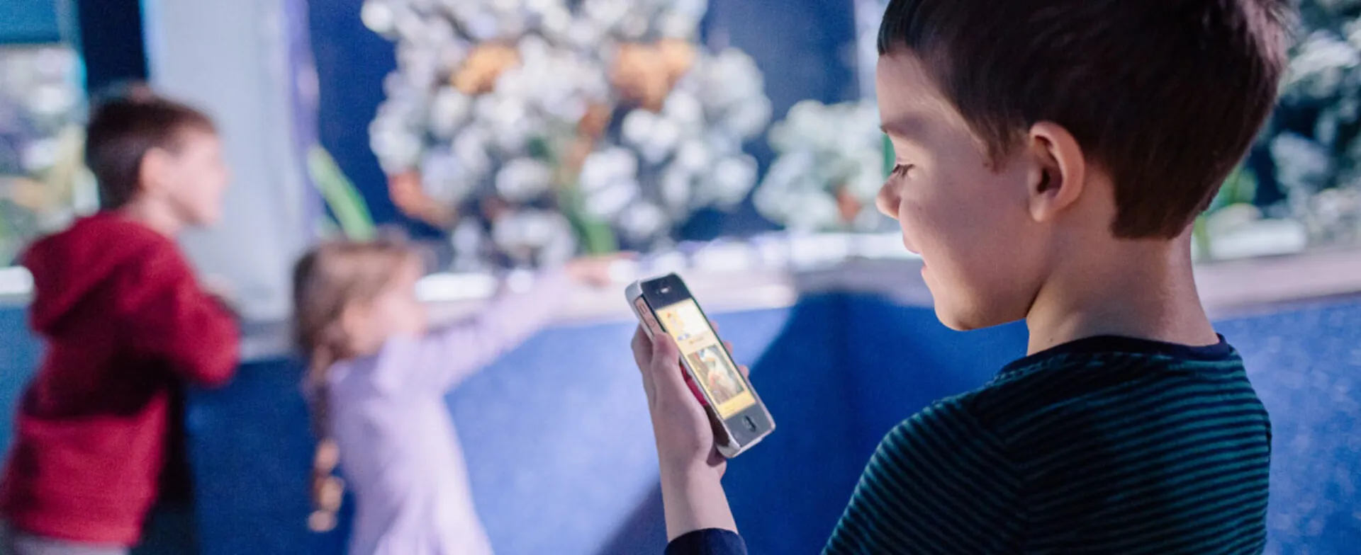 Boy looking at phone