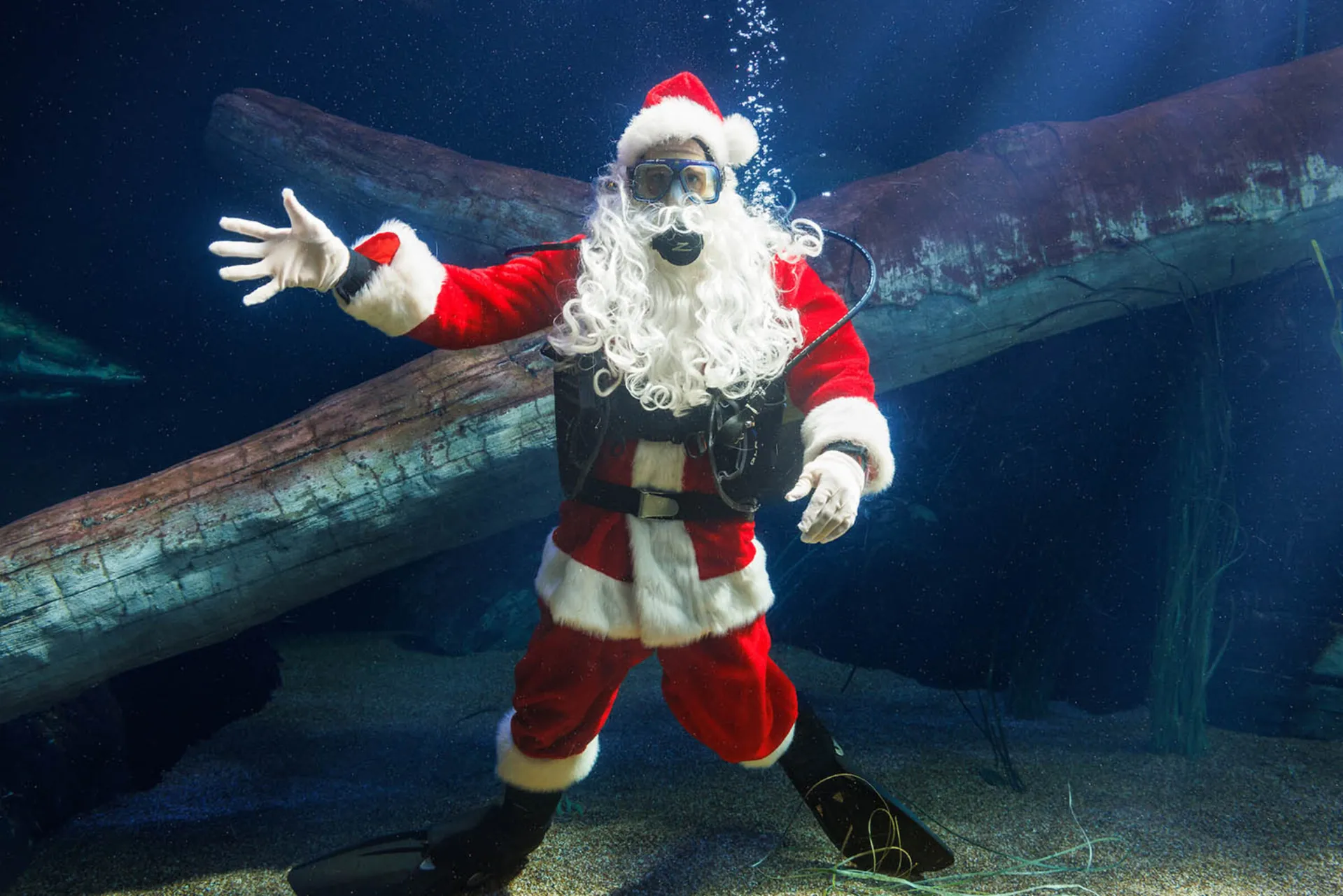 Santa Claus Diver