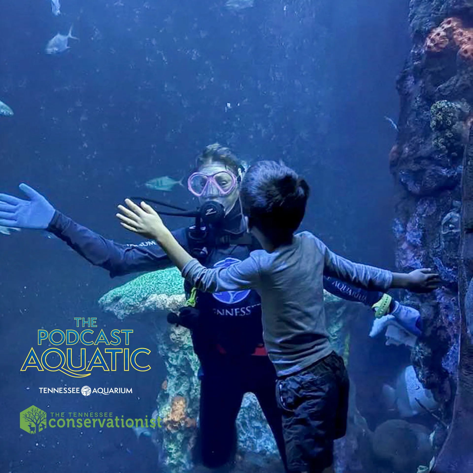 The Podcast Aquatic thumbnail graphic for episode on accessibility at the aquarium