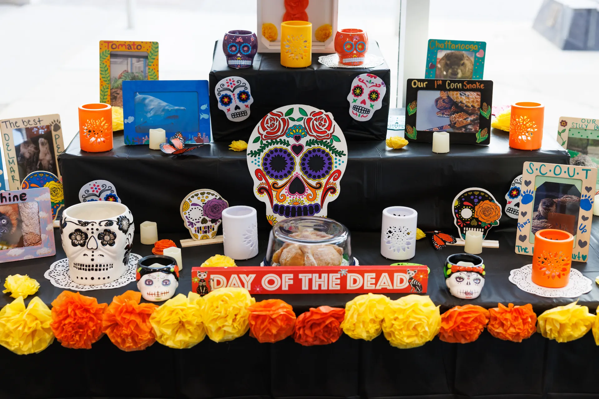 Aquarium Animals & Beloved Pets Ofrenda