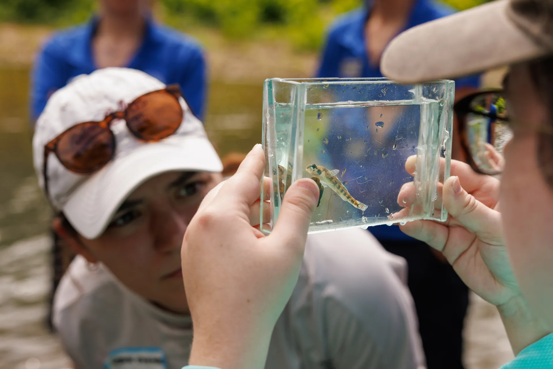 River Teachers professional development at the TN Aquarium - one educator holding up a glass box with a small fish in it, with another educator observing