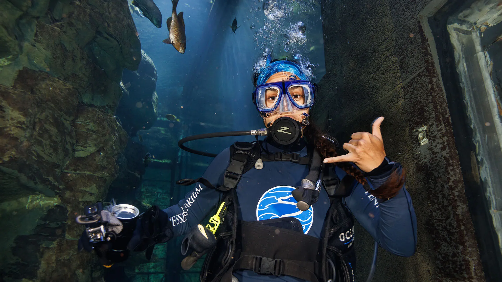 Beneath the surface: how divers keep the Aquarium flowing