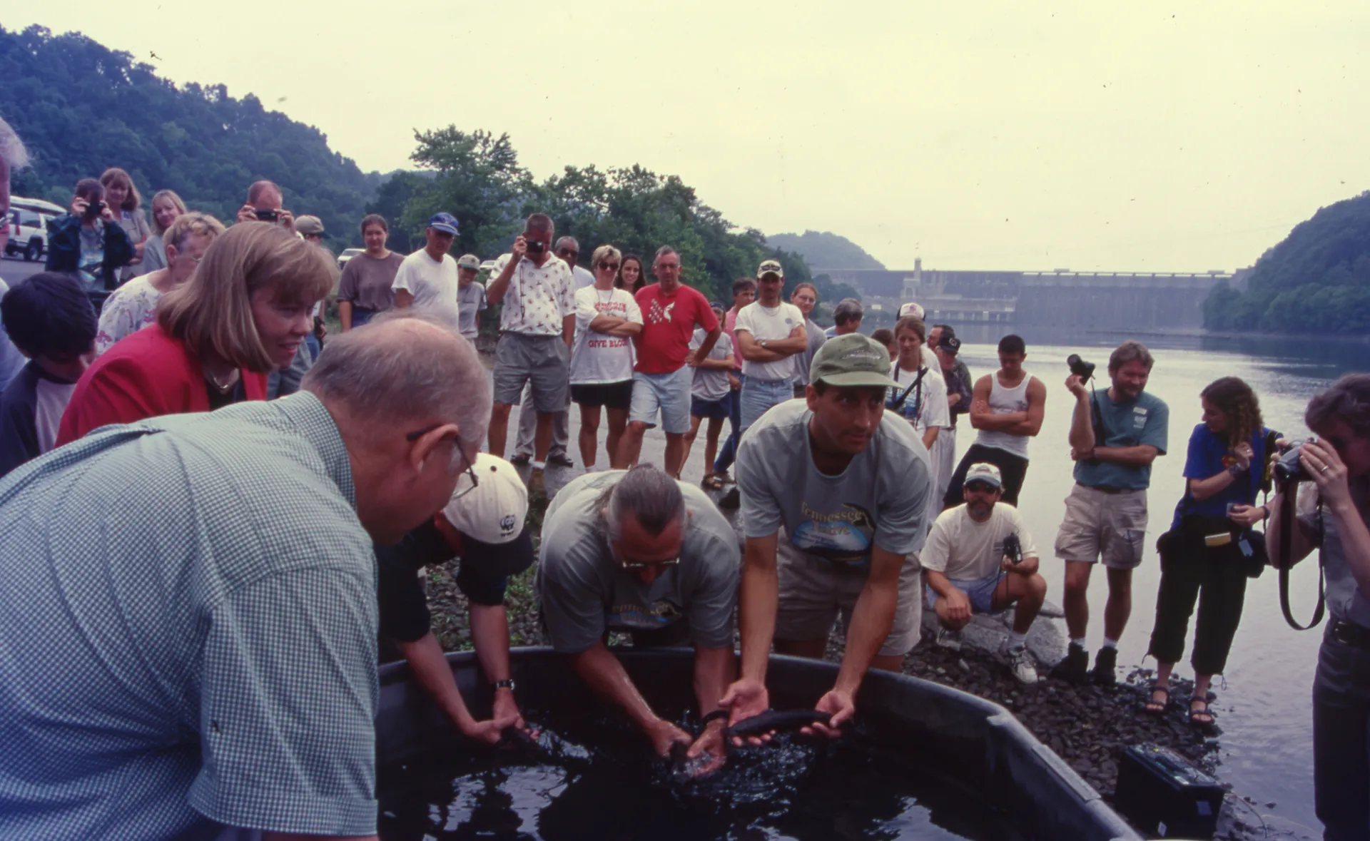 A group of people stand next to a river. In the foreground, several people lean over a large tub filled with water and juvenile Lake Sturgeon.