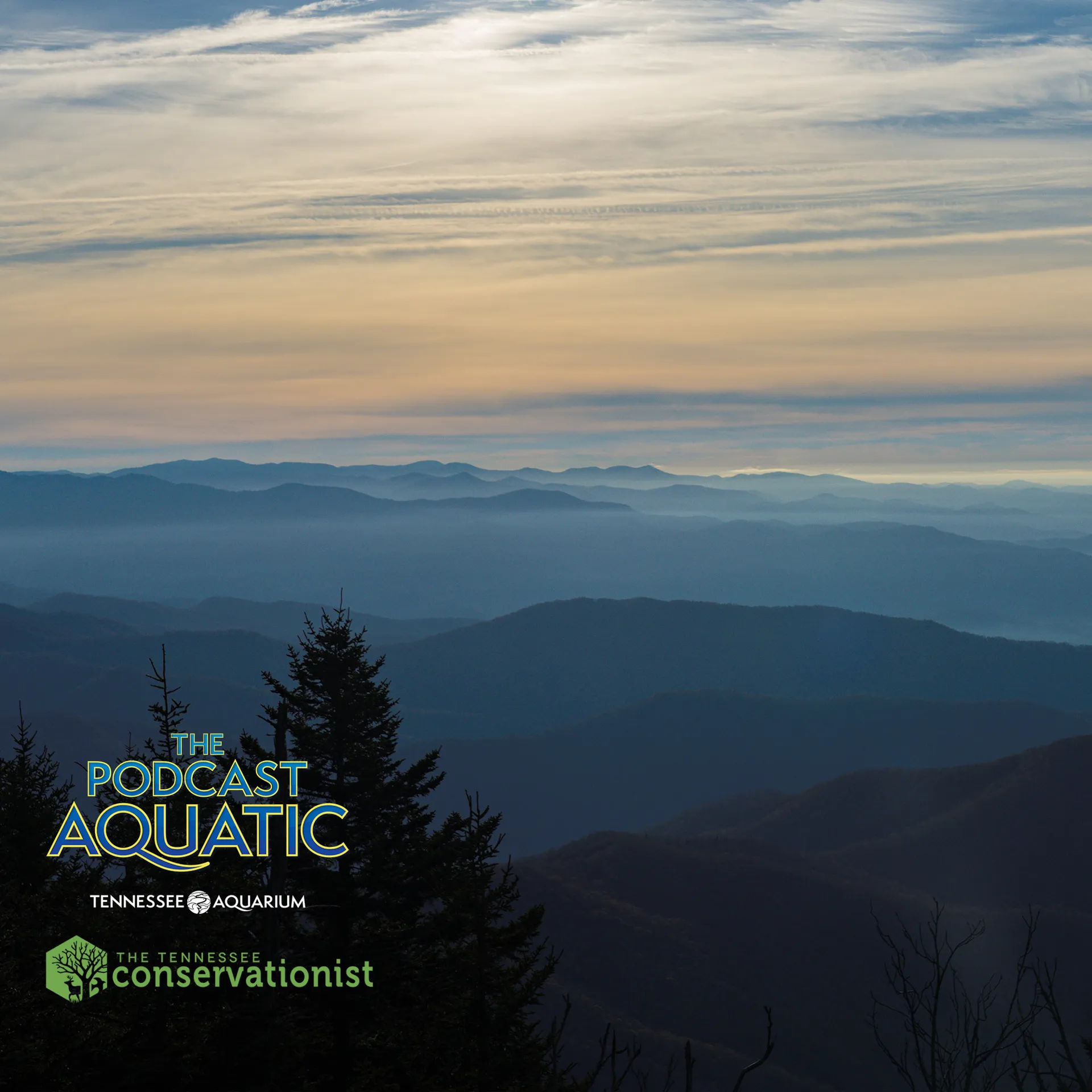 Podcast: "Spooky Season Special: Appalachian Animal Mythbusters"