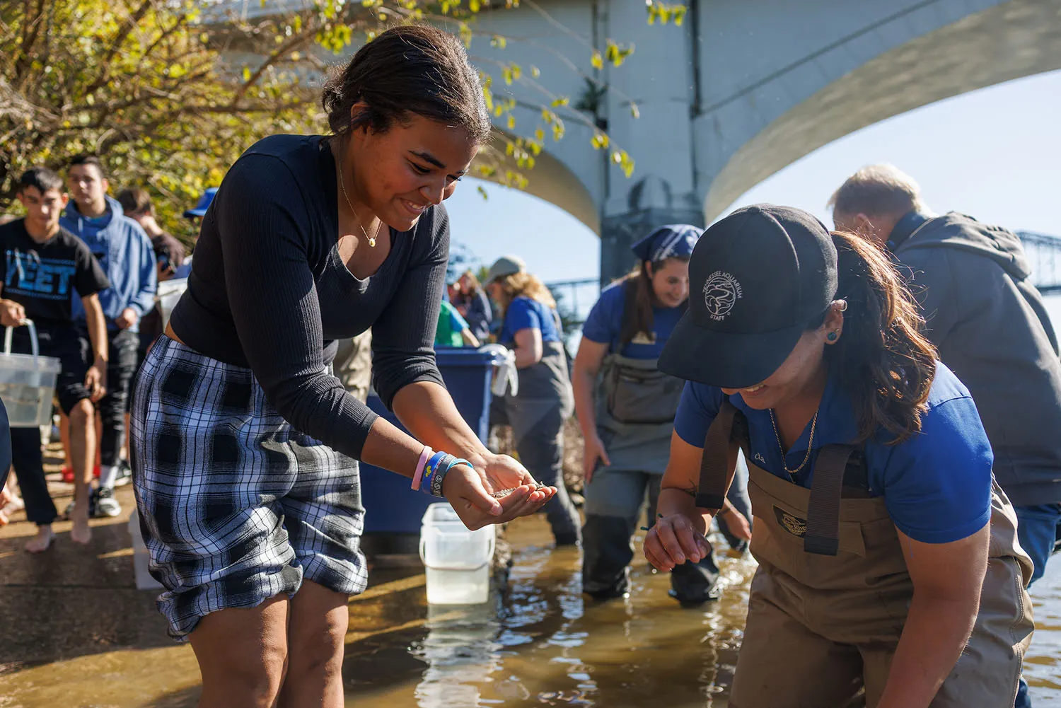 Hard-won victory: Lake Sturgeon conservation status downgraded in Tennessee