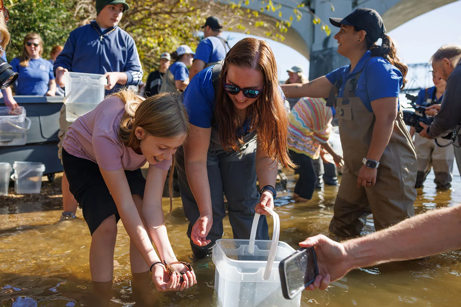 Students from Hixson High School help the Tennessee Aquarium Conservation Institute release juvenile Lake Sturgeon into the Tennessee River from Coolidge Park on Thursday, Oct. 23, 2025, in Chattanooga, Tenn.