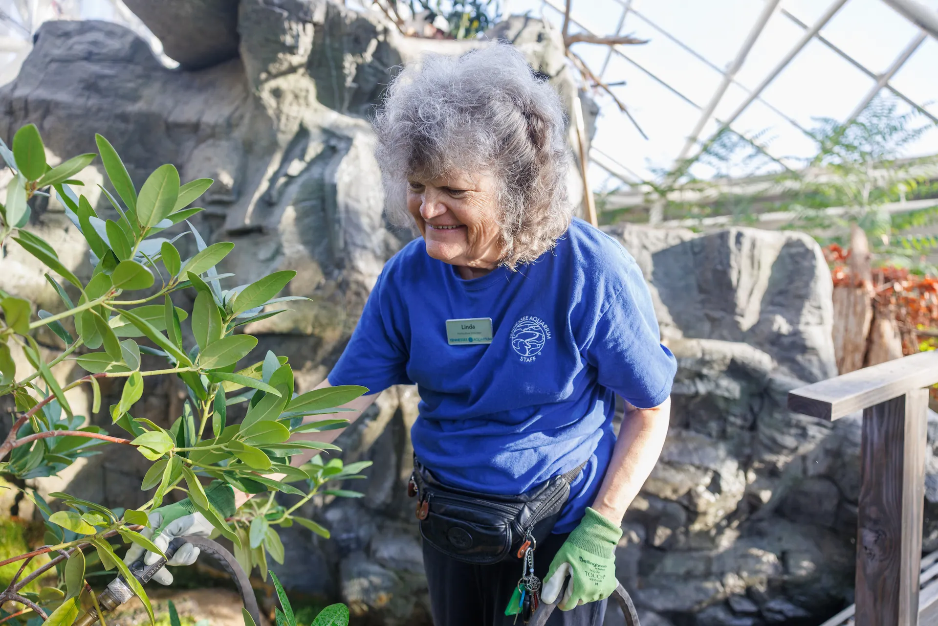 Horticulture volunteer Linda Miller in the Appalachian Cove Forest gallery at the TN Aquarium