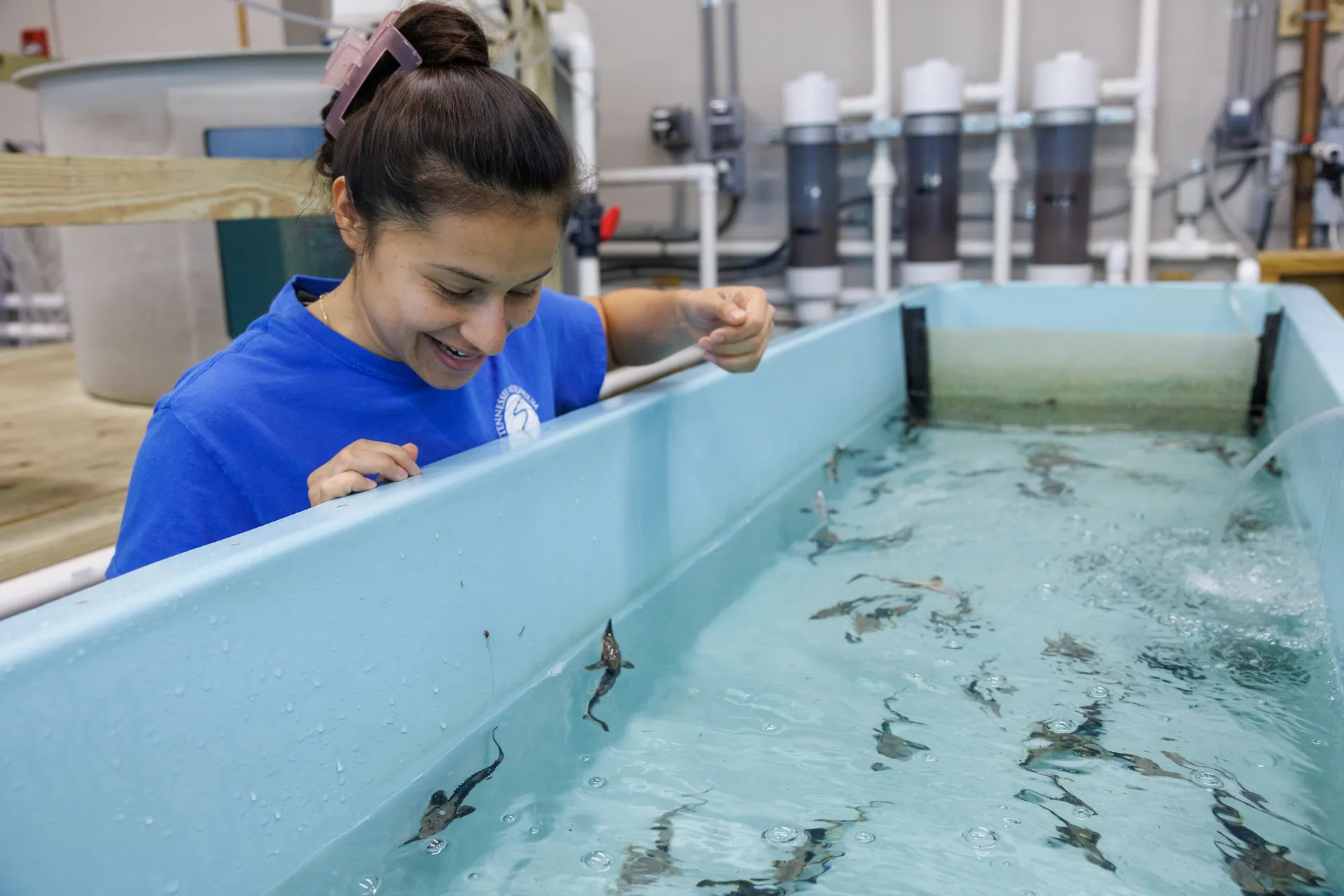 Conservation Volunteer Marlys Vicente looking into a pool of juvenile lake sturgeon at the TN Aquarium Conservation Institute
