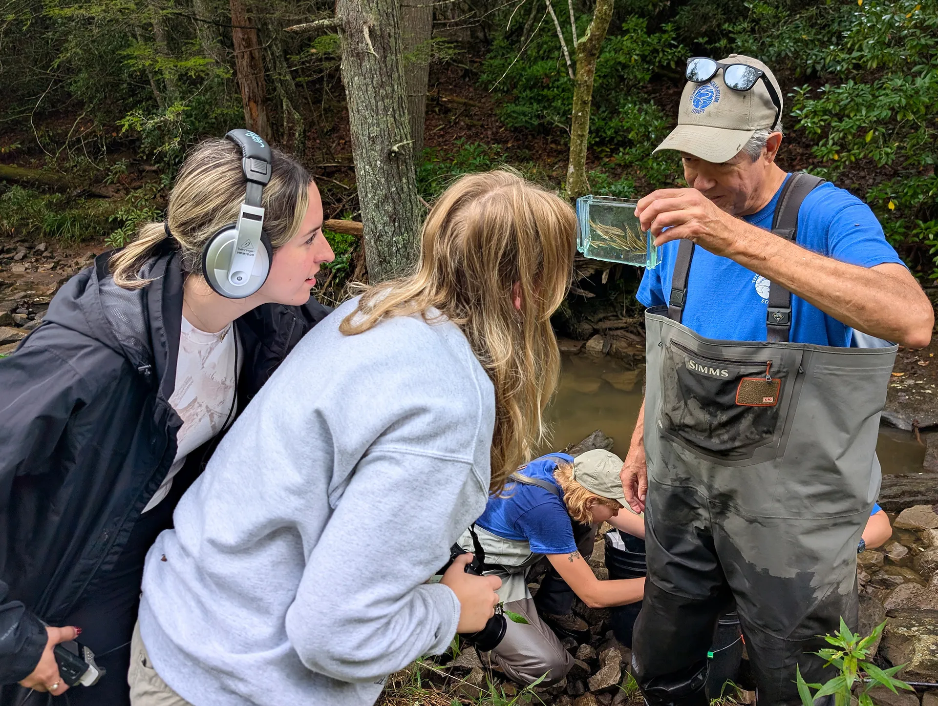 UTC journalists tell the story of Laurel Dace conservation