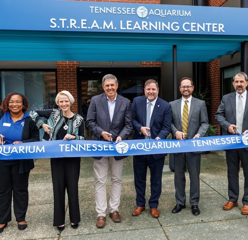 Full S.T.R.E.A.M. ahead