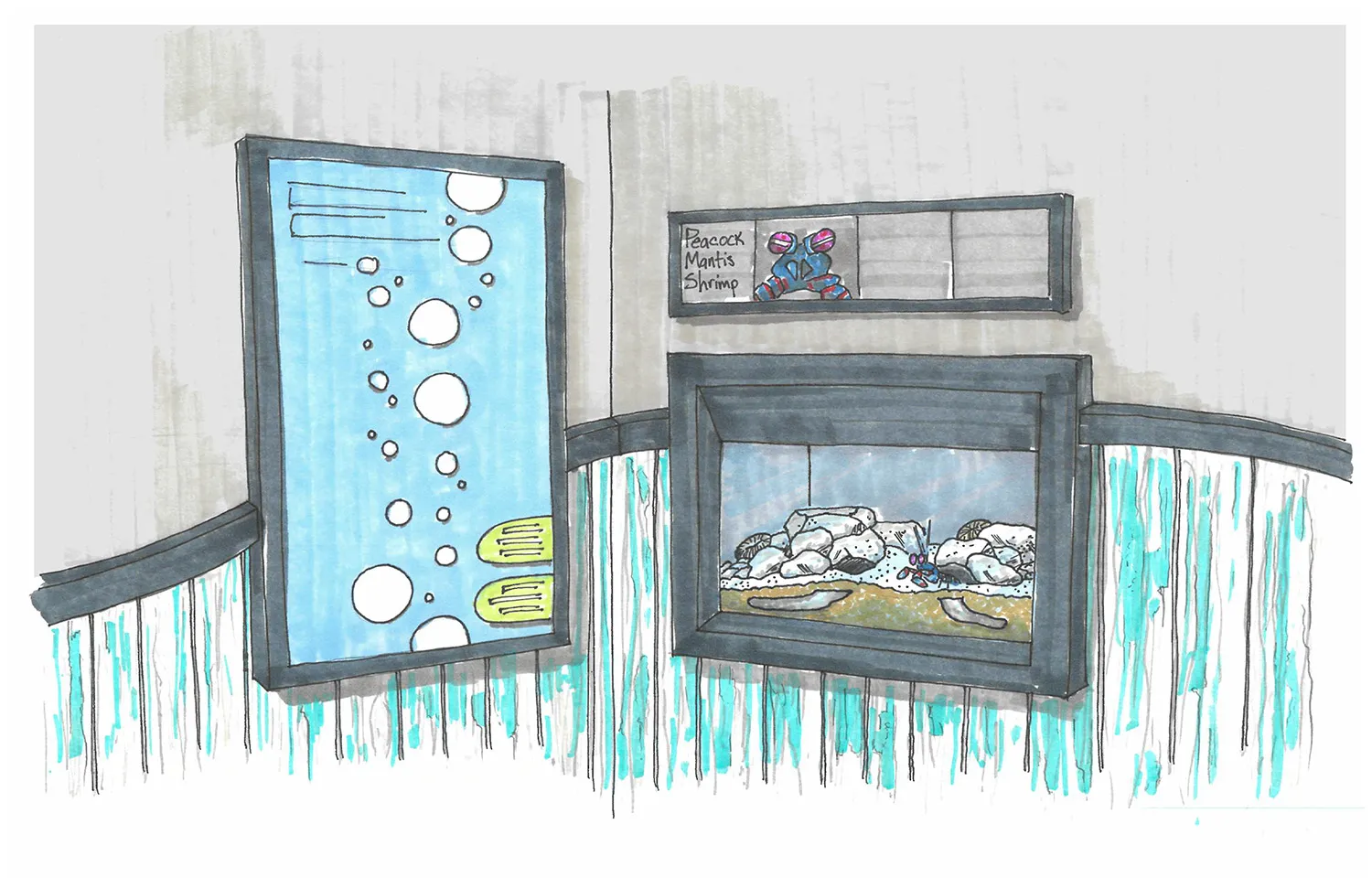Sketch design of the Scuttlebutt Reef gallery at the TN Aquarium, opening spring 2026
