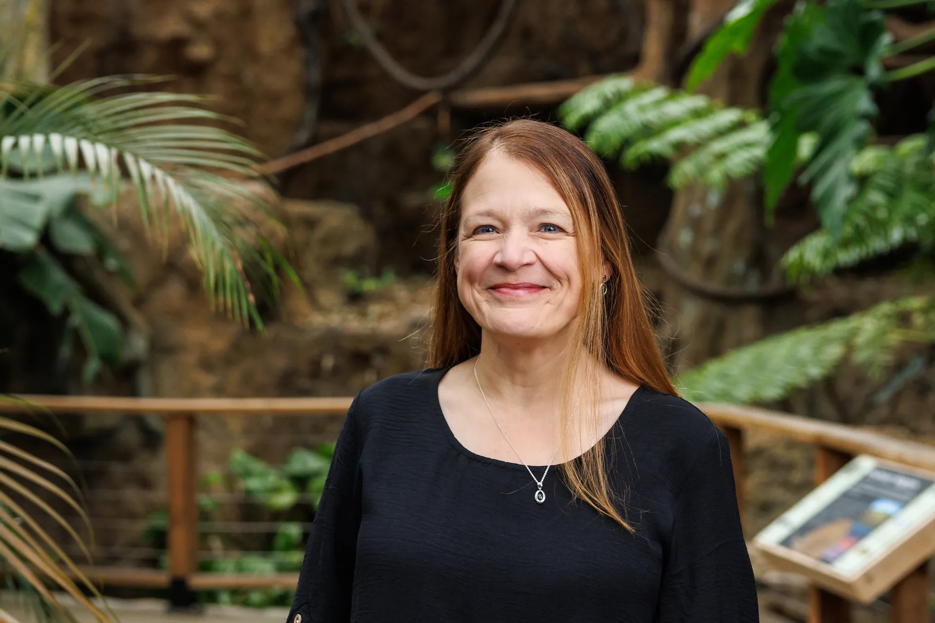 Mary Ann Beil joins Tennessee Aquarium as new CFO