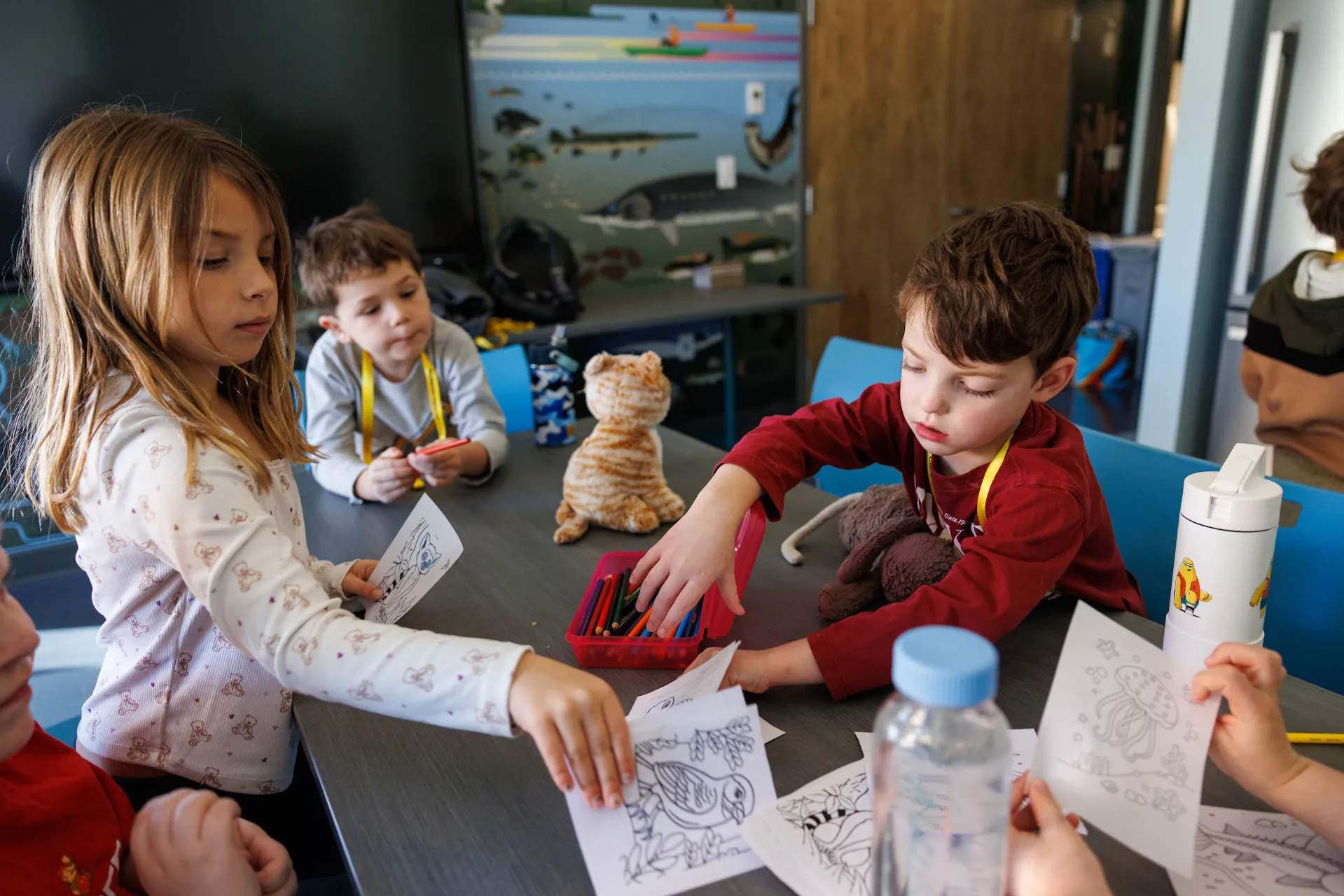 Winter Camp: Snowy Science
