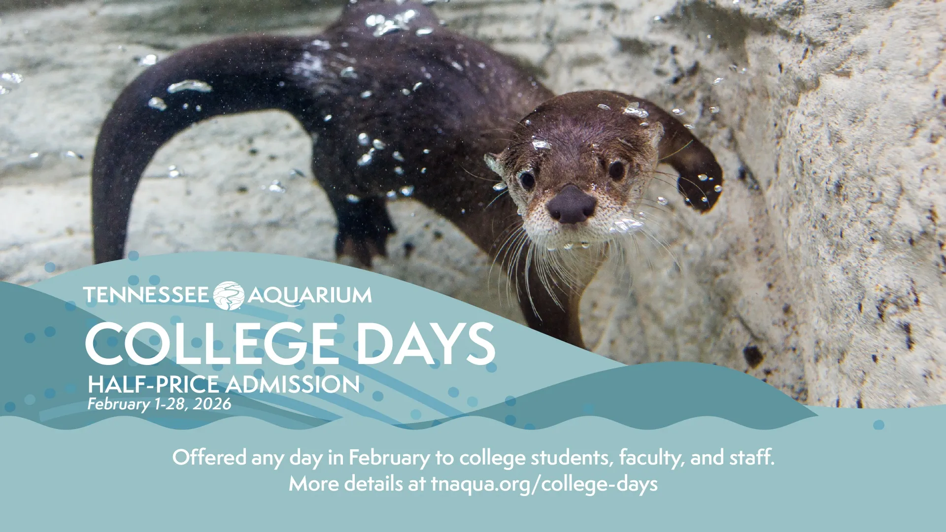 College Days at the Tennessee Aquarium will run Feb. 1–28, with half-price admission for college students, faculty and staff.
