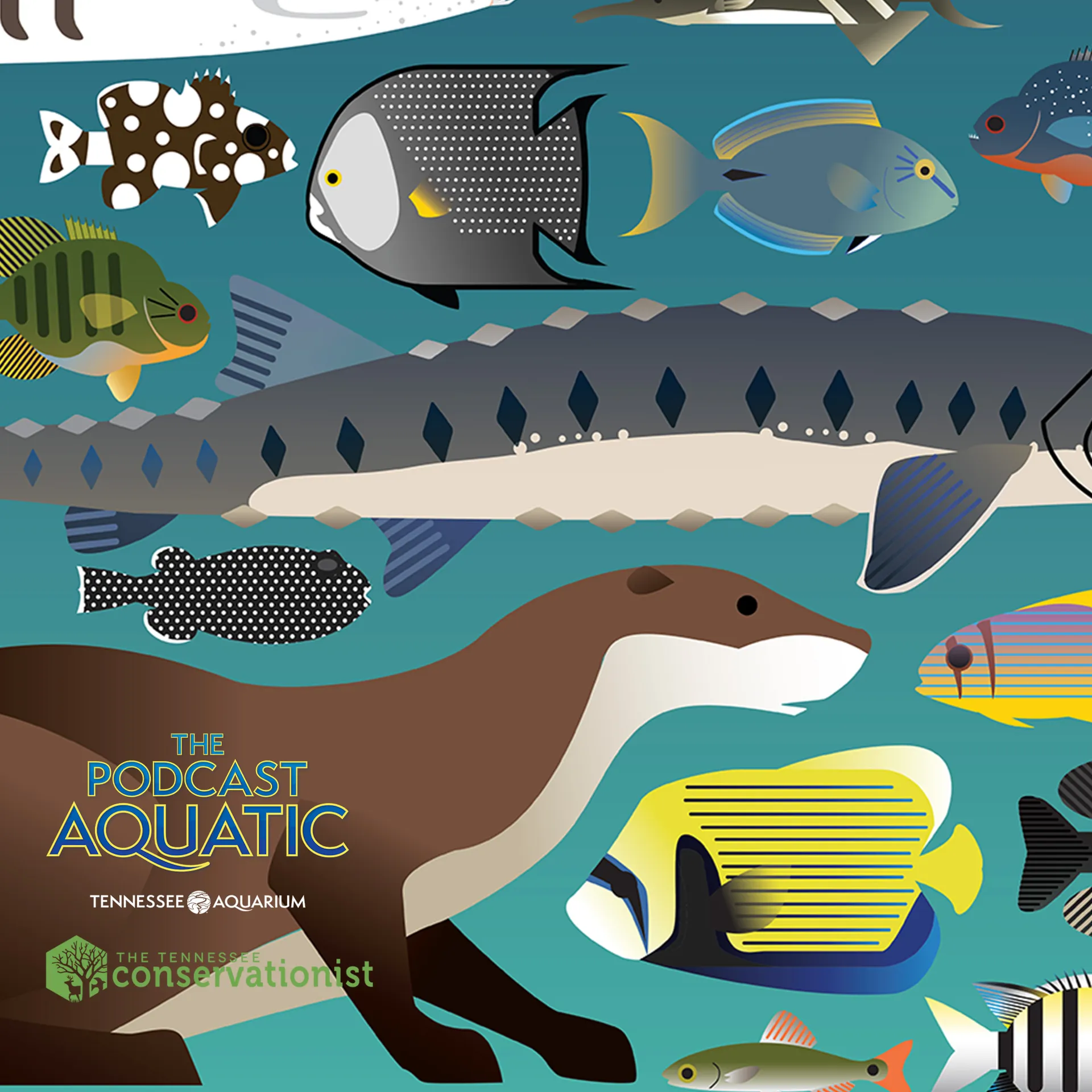 Podcast: "Art+Science Part 1: Pencil Urchins and Brush Coral"