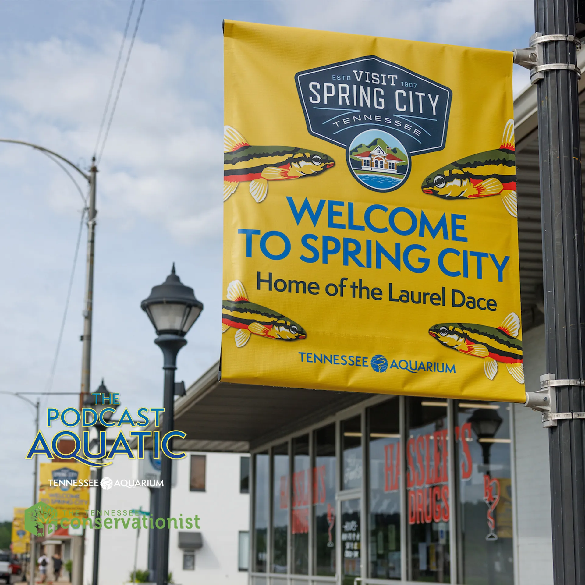 Podcast: "Support Your Local Minnow"