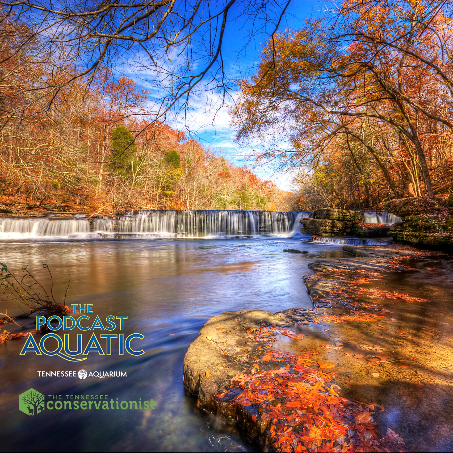 Podcast: "Parks and Rec(ording)"