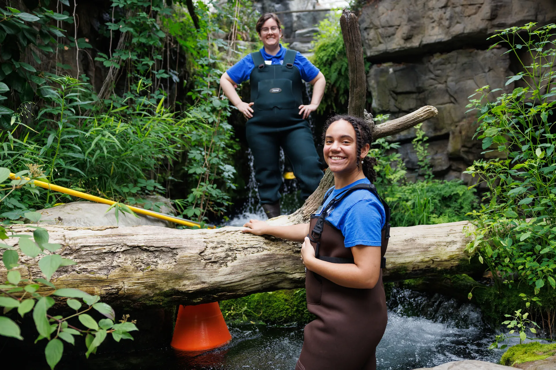 Jim Hill Operations Fellow Sierra Jackson assists with moving fish in the Appalachian Cove Forest's stream.