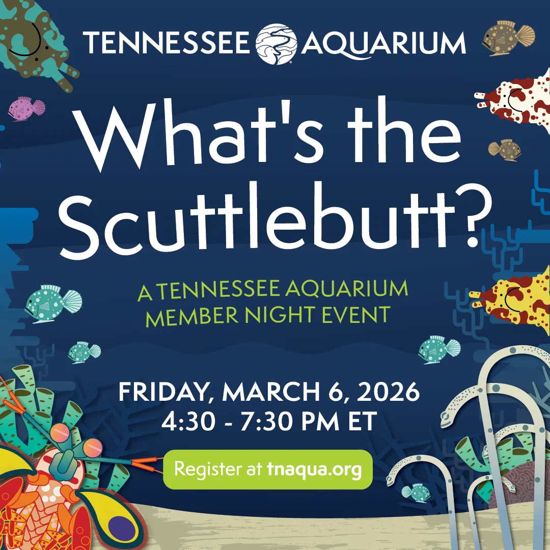 Promotional graphic for 