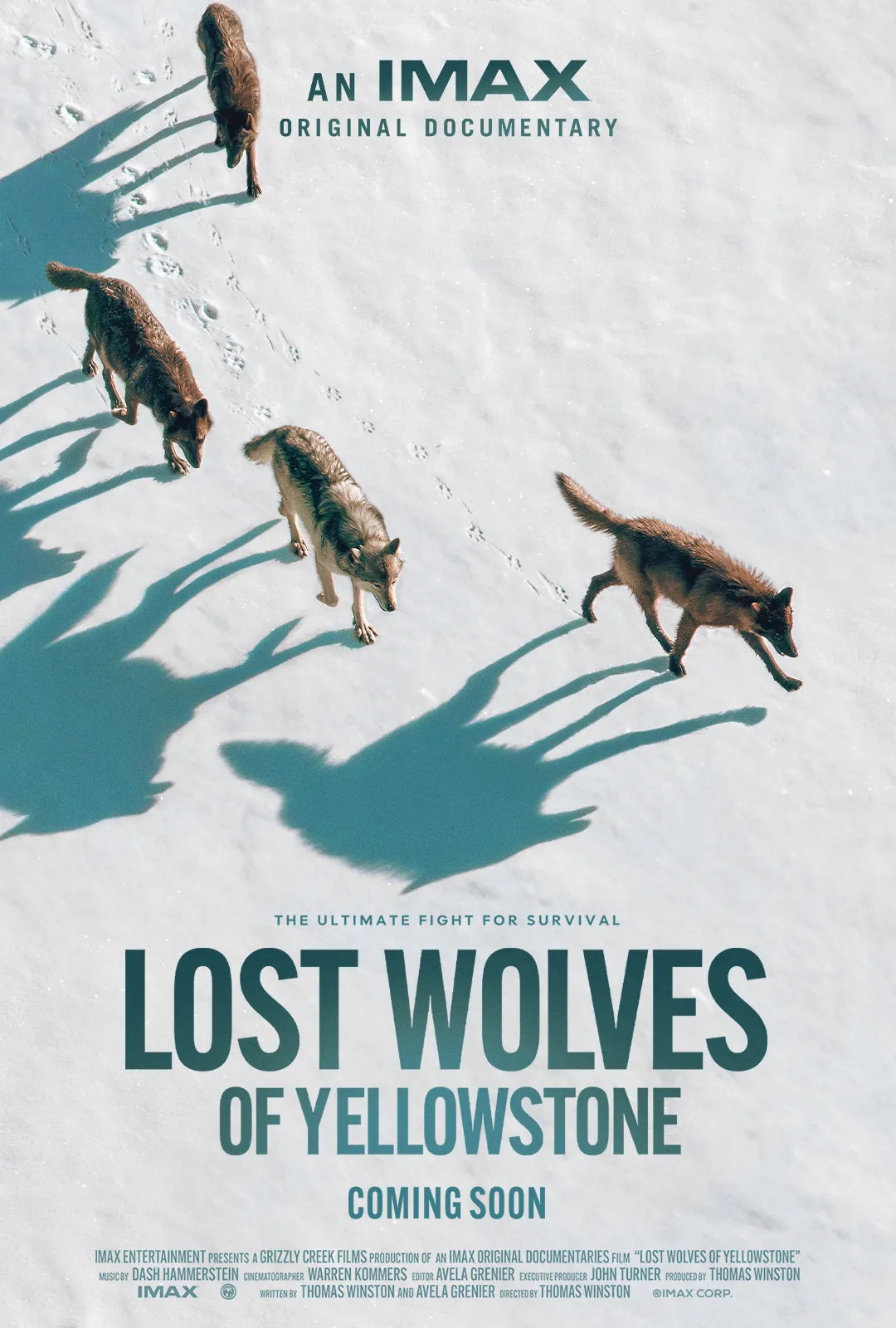 movie poster with wolves walking on snow for Lost Wolves of Yellowstone film