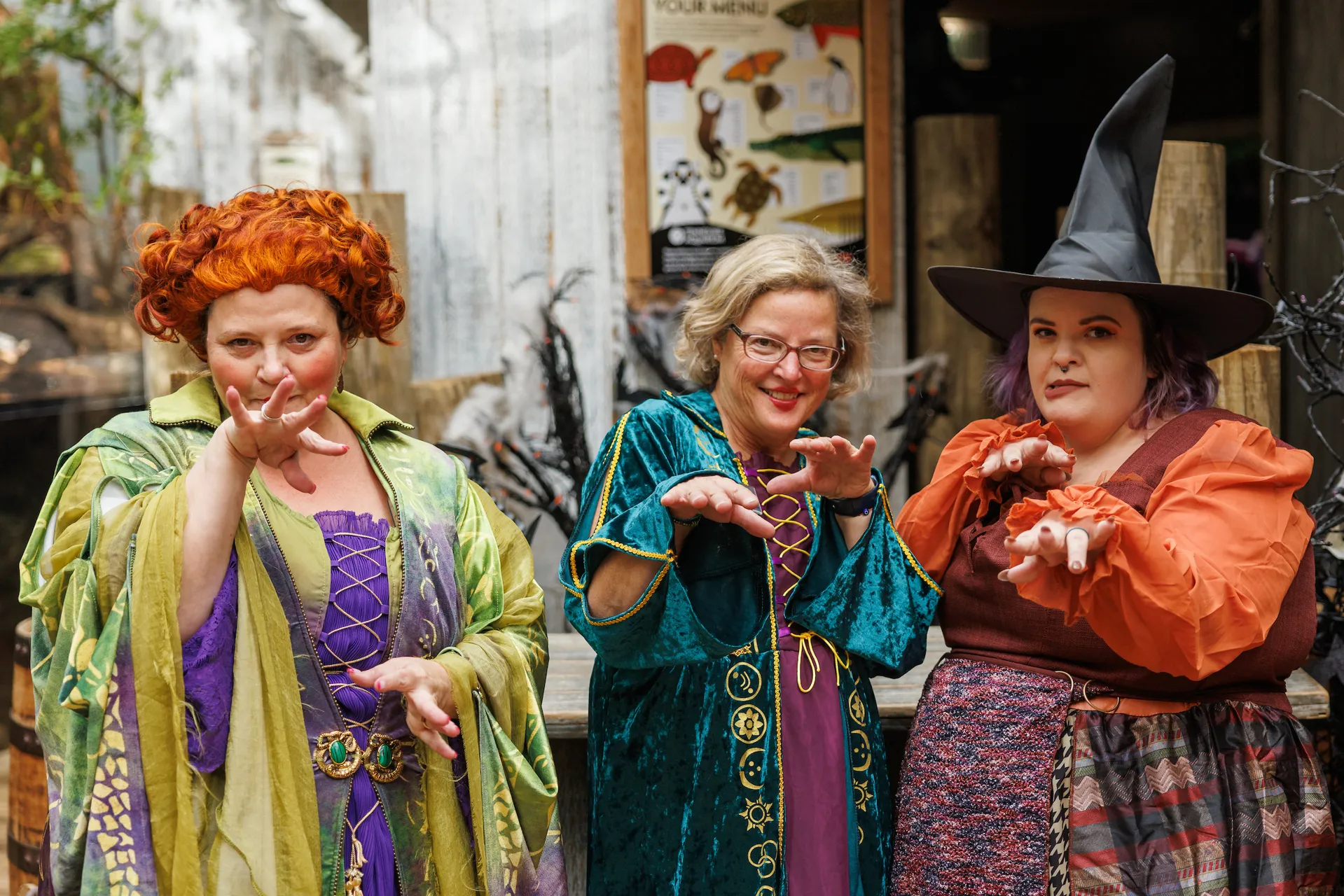 Three Aquarium staff members dressed as the Hocus Pocus characters for the annual Aquascarium trick-or-treating event