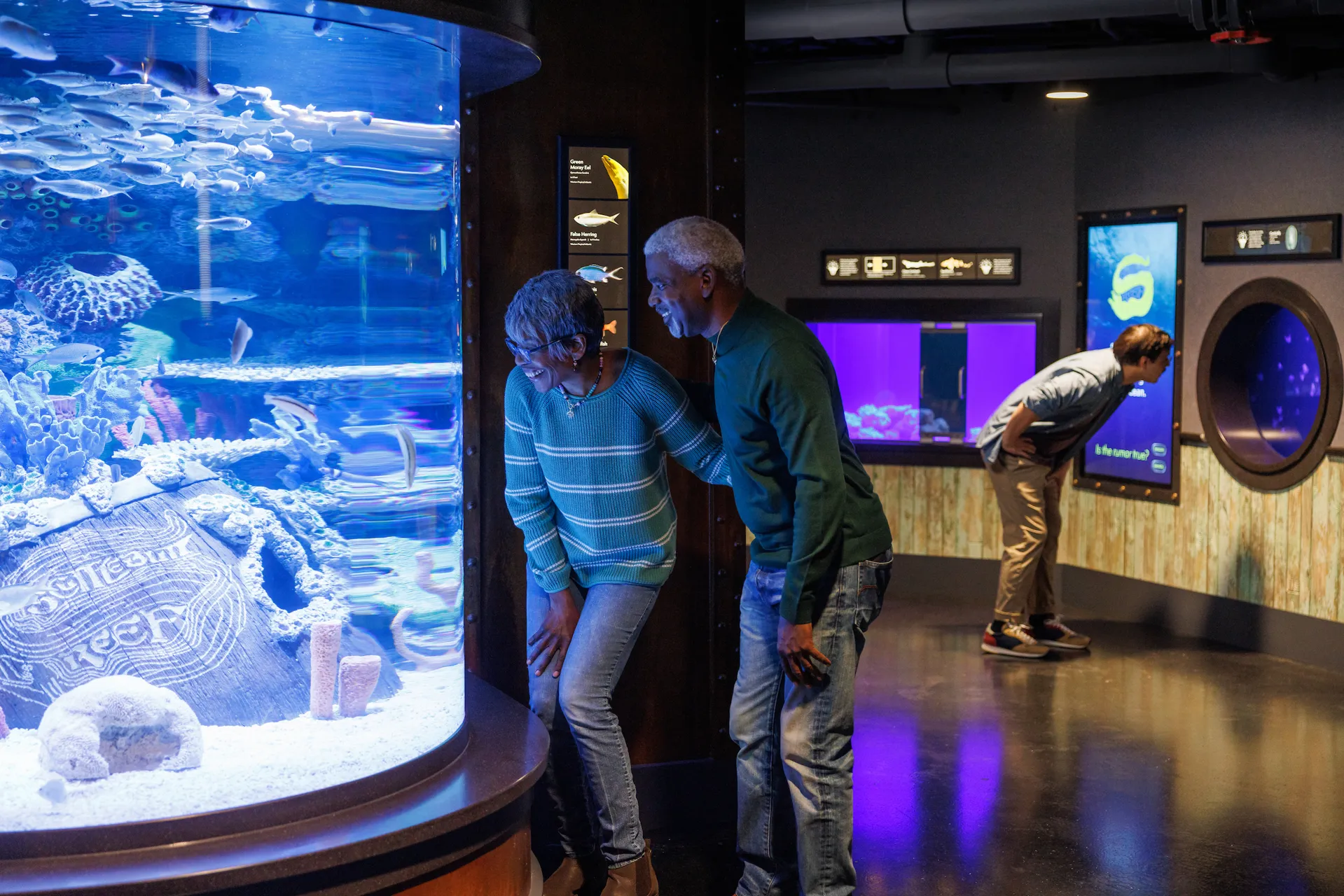 Two guests enjoying the Moray Eel exhibit and one guest in the background enjoying the Comb Jellies exhibit in the new Scuttlebutt Reef gallery