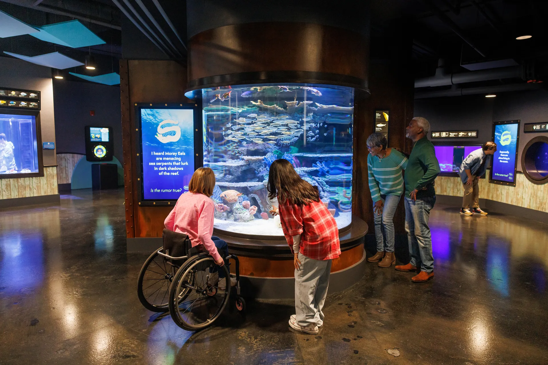 A small group of guests gathered near the Moray Eel exhibit in the new Scuttlebutt Reef gallery