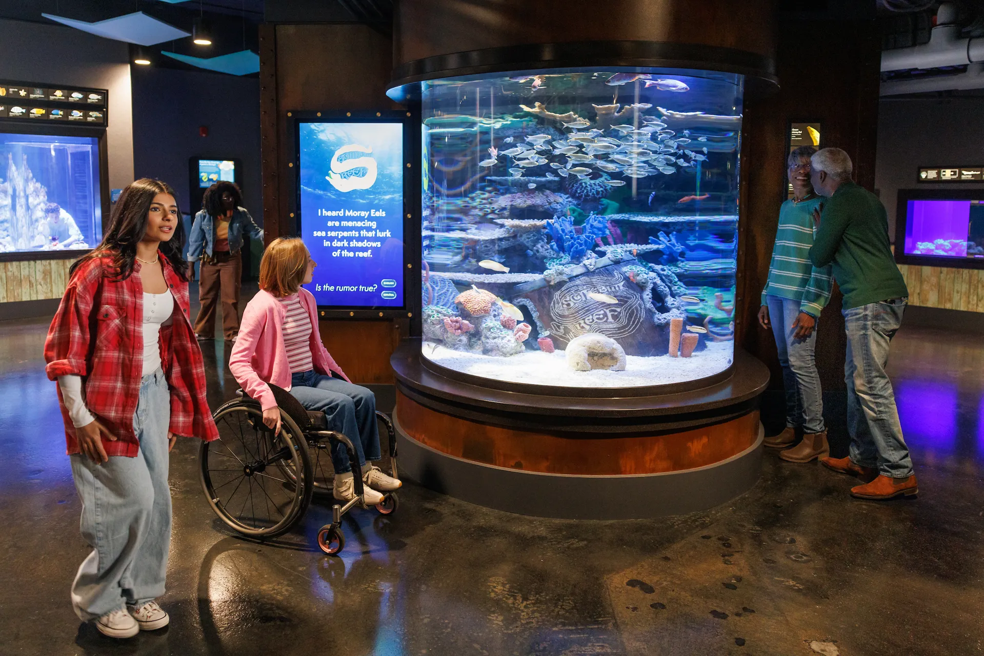 A small group of guests gathered near the Moray Eel exhibit in the new Scuttlebutt Reef gallery