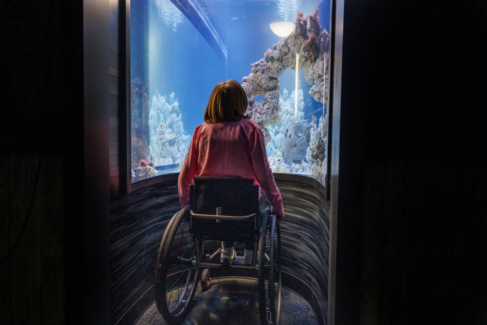 Guest enjoying the coral gallery in Scuttlebutt Reef at the Tennessee Aquarium