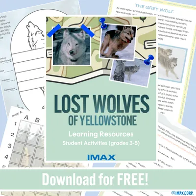 learning resources for grades 3-5 Lost Wolves of Yellowstone film