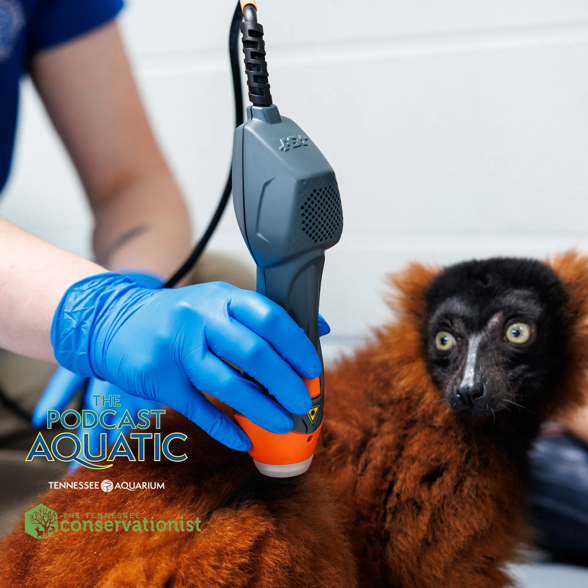 Podcast: "A Well-tended Twilight"