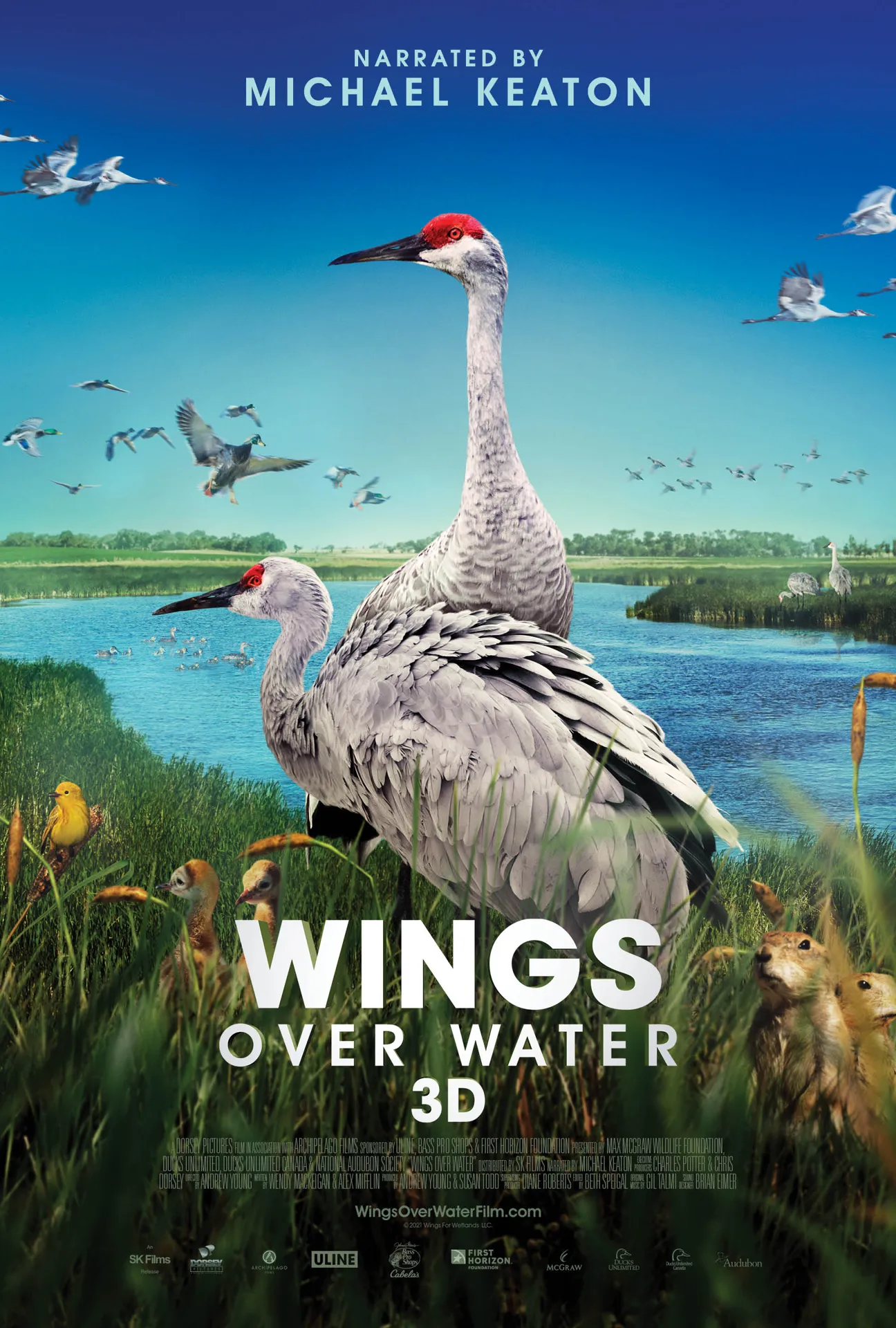 Poster for Wings Over Water 3D documentary coming to the Tennessee Aquarium IMAX theater