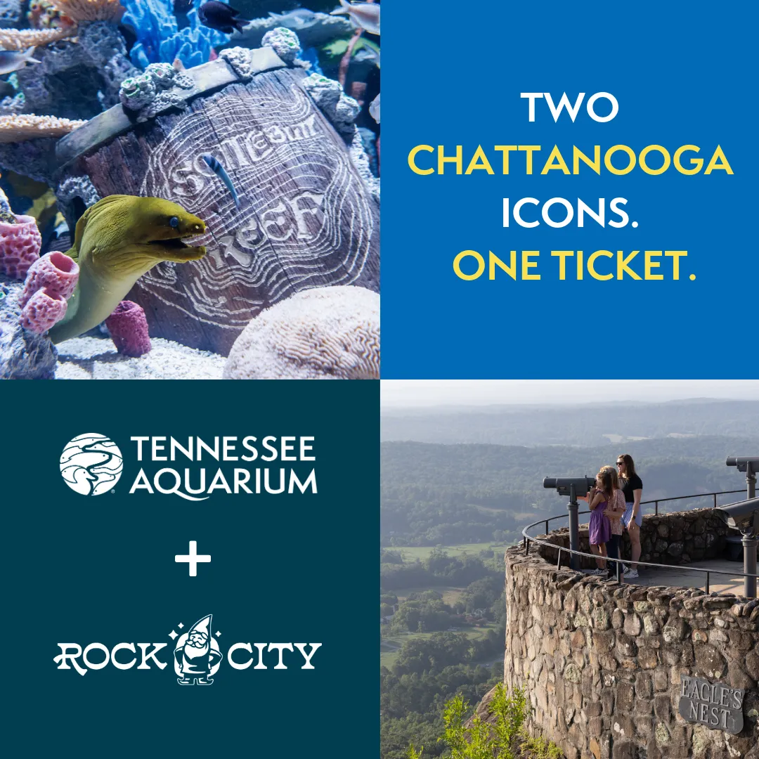 Promotional graphic for Aquarium x Rock City combo ticket with a photo of a green moray eel in the top left and a photo of the Eagle's Nest overlook at Rock City in the bottom right