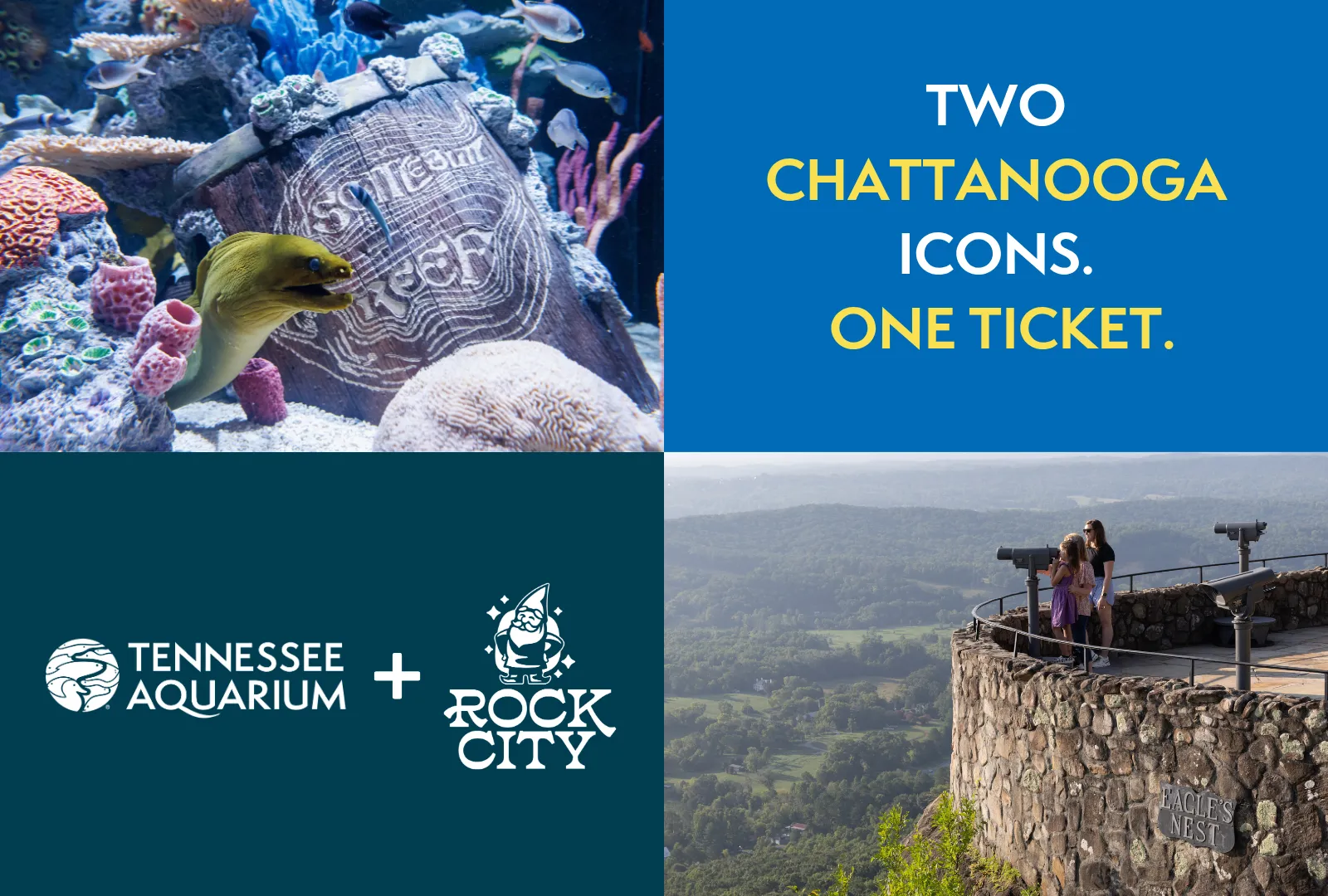 Promotional graphic for Aquarium x Rock City combo ticket with a photo of a green moray eel in the top left and a photo of the Eagle's Nest overlook at Rock City in the bottom right