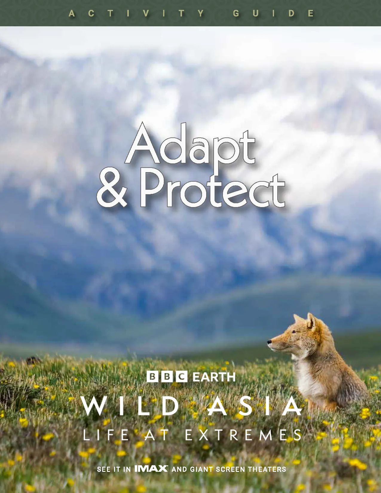 a tibetan fox with snowy mountains in the background as a cover for the