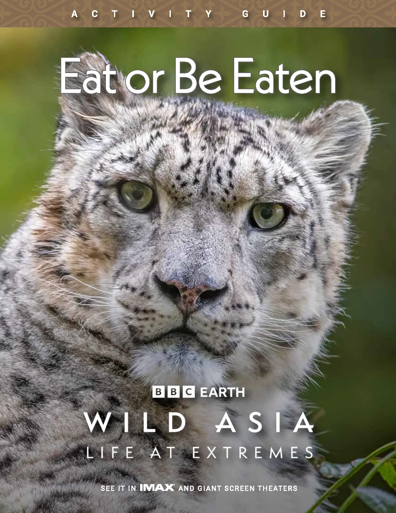 a close-up of a snow leopard as a cover for the
