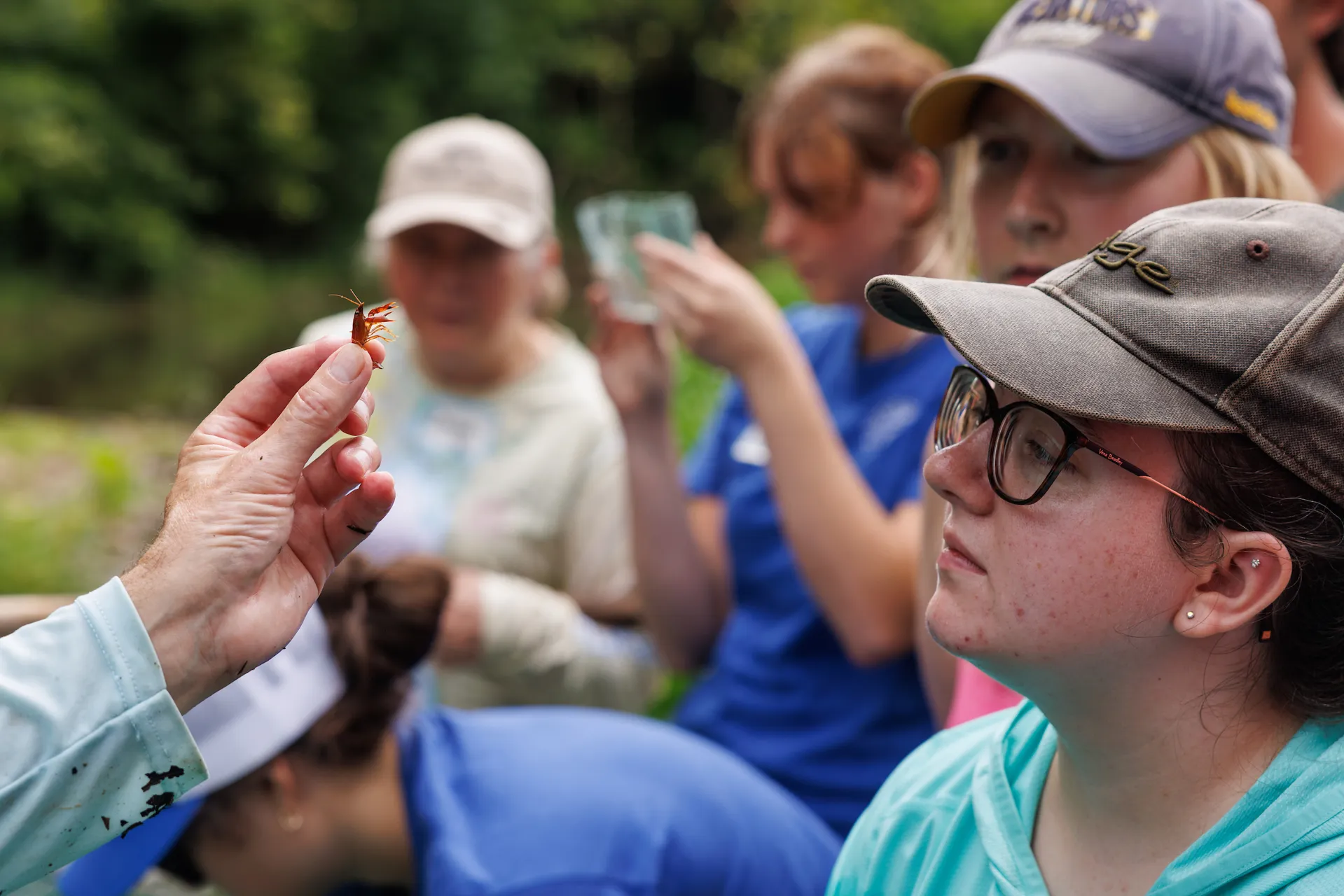The Tennessee Aquarium Conservation Institute and Aquarium educators take a group of teachers to seine in South Chickamauga Creek for the River Teachers professional development program.
