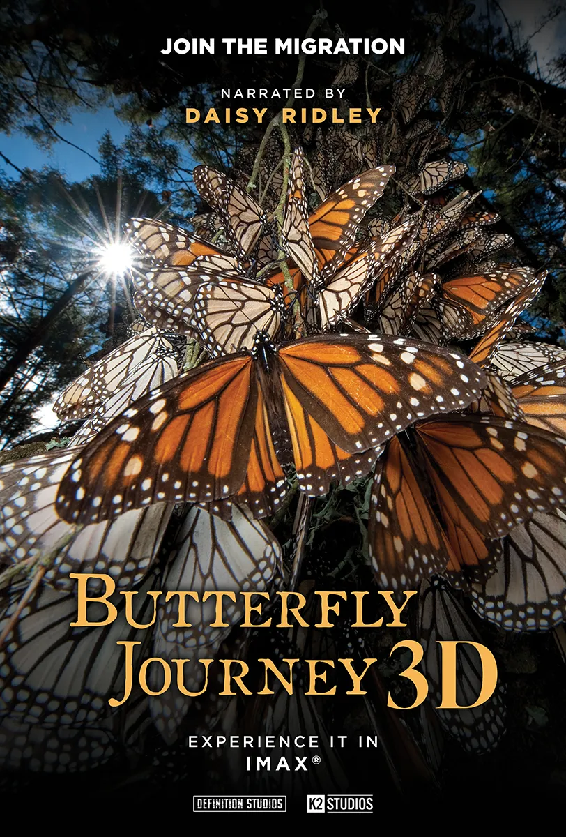 Poster with lots of monarch butterflies on a tree for the Butterfly Journey documentary