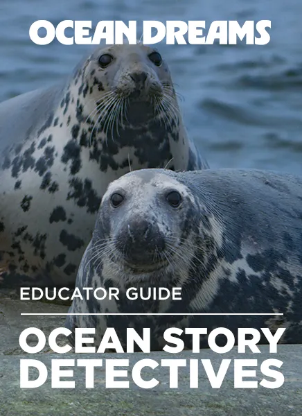 a pair of seals as a cover for the