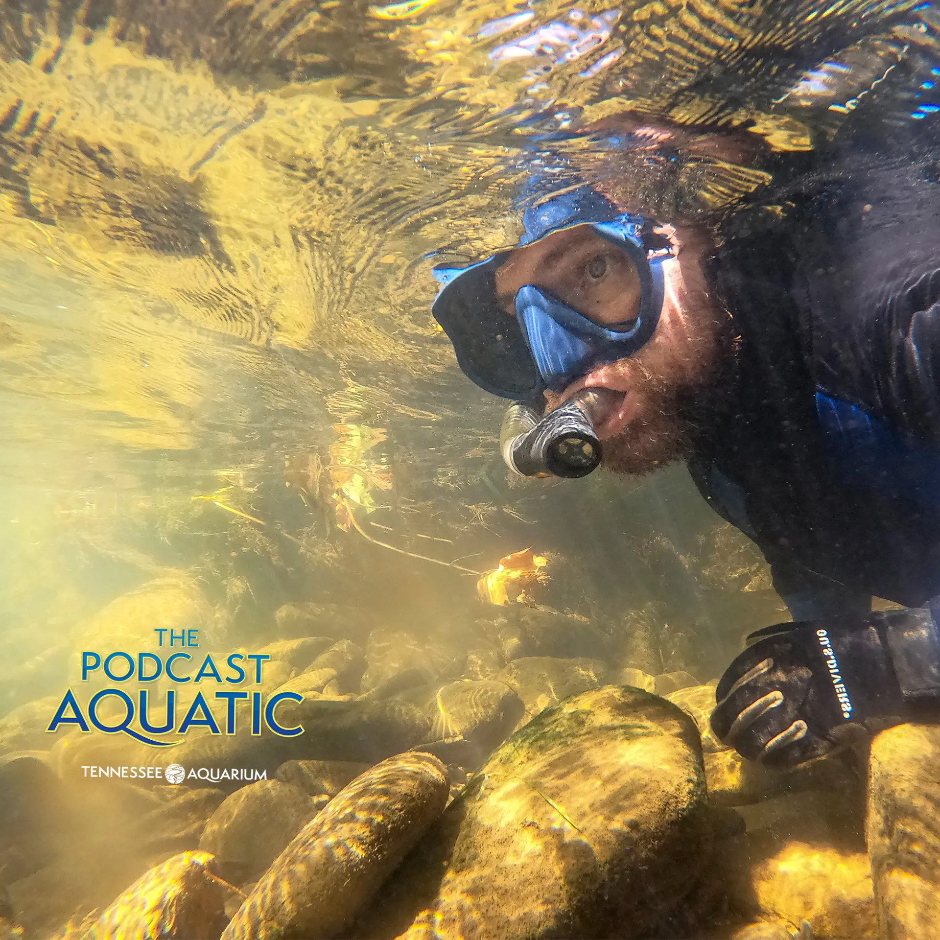 Podcast: "How Do You Find Endangered Fish??"