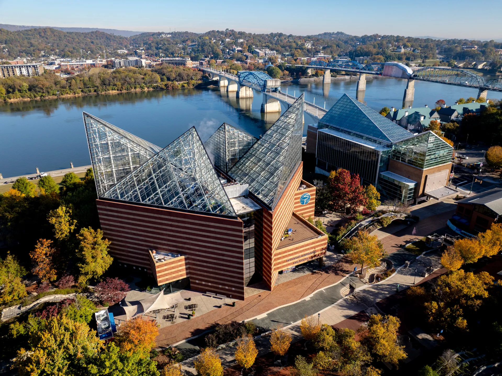 The Aquarium's guide to the &ldquo;-ber&rdquo; months of 2026