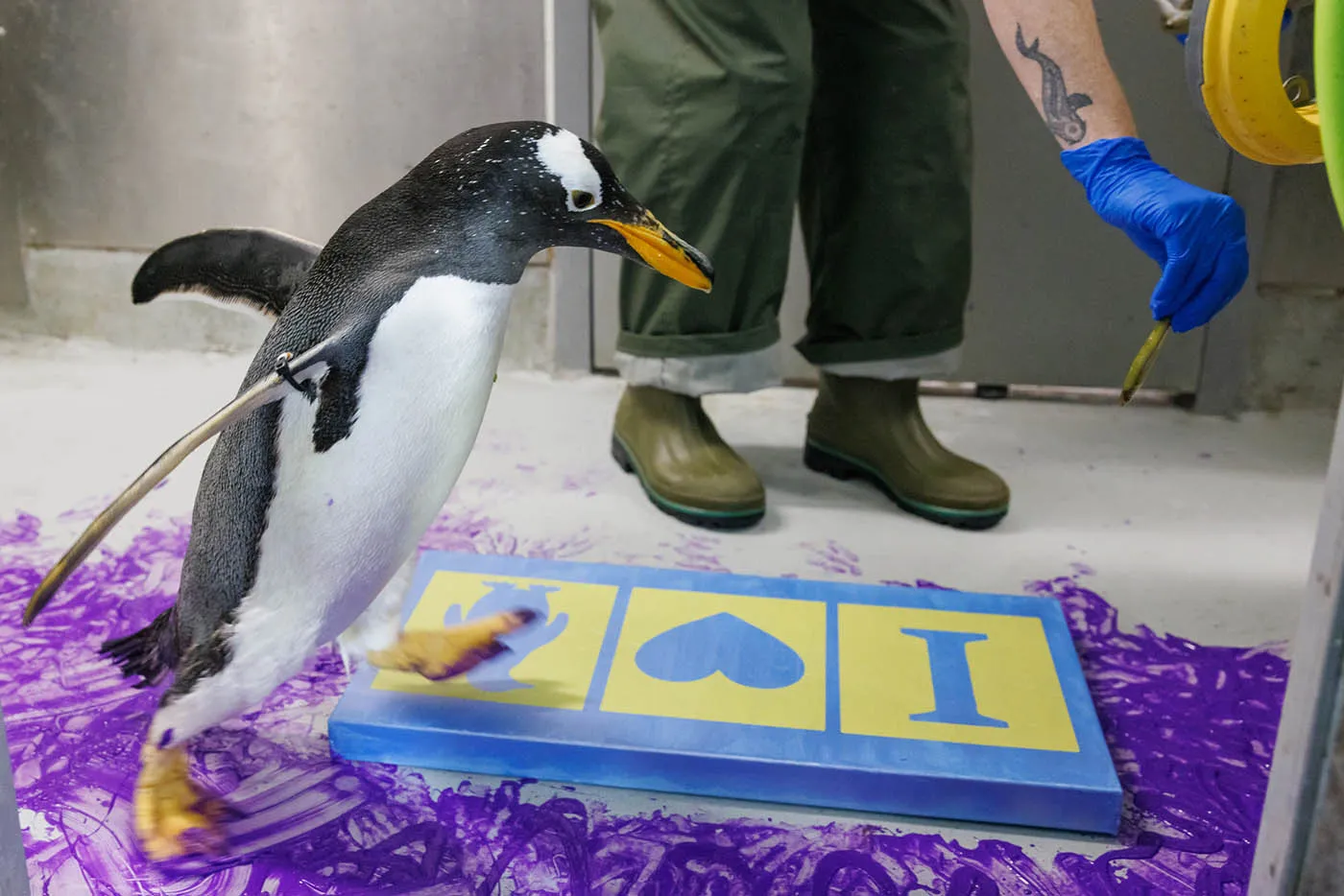 Bidding opens tomorrow for Tennessee Aquarium&rsquo;s annual fundraising auction
