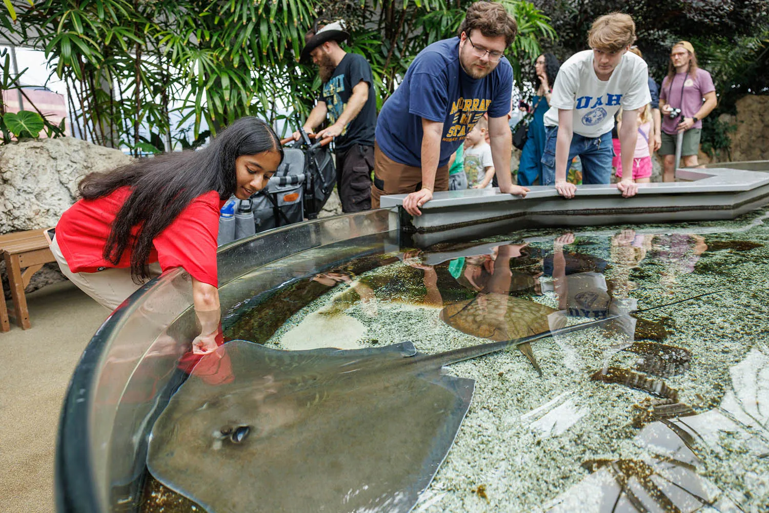 September brings steep Tennessee Aquarium discounts to college students, faculty, corporate partners