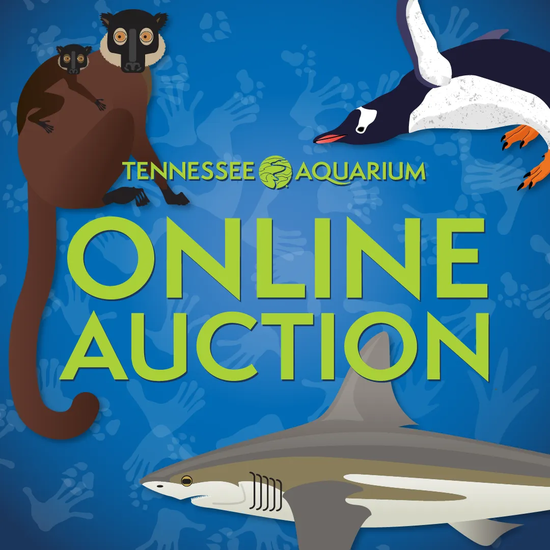 Promotional graphic for TN Aquarium's online auction 2026