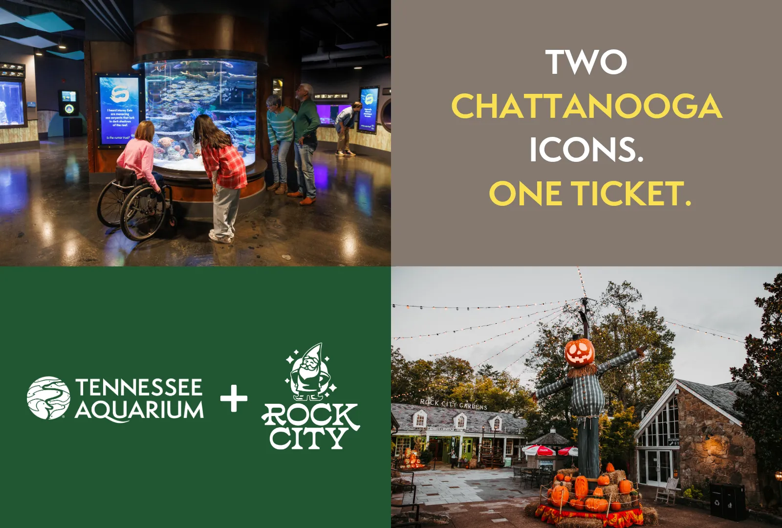Promotional graphic for Aquarium x Rock City combo ticket with a photo of guests enjoying the Scuttlebutt Reef gallery at the TN Aquarium in the top left and a photo of fall/Halloween decorations at Rock City in the bottom right